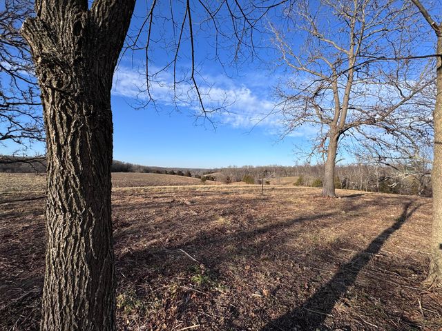 1461 Quail Spur, Crane, MO 65633