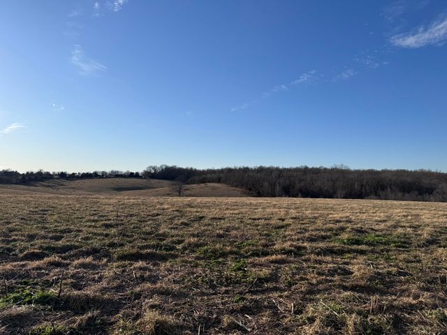 1461 Quail Spur, Crane, MO 65633