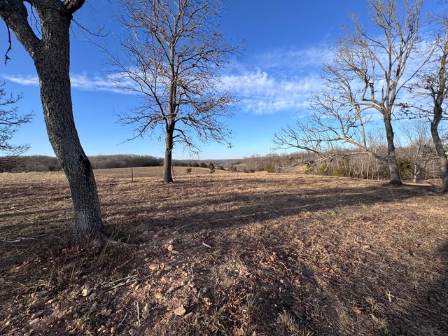 1461 Quail Spur, Crane, MO 65633