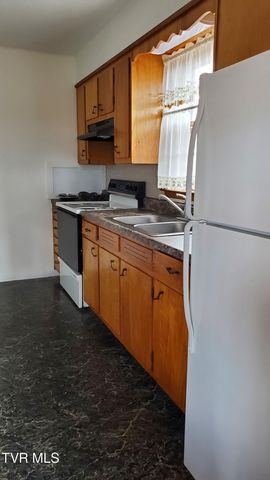 150 Joe Hale Drive -, Johnson City, TN 37615