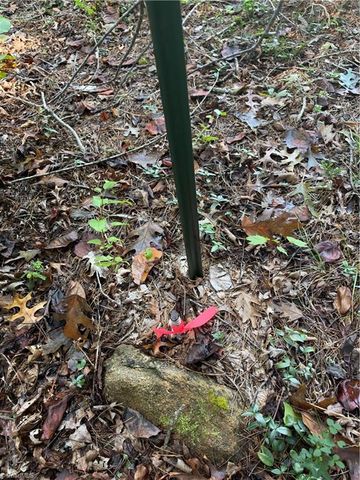 Lot 2 Edgewood Road, Wilkesboro, NC 28697