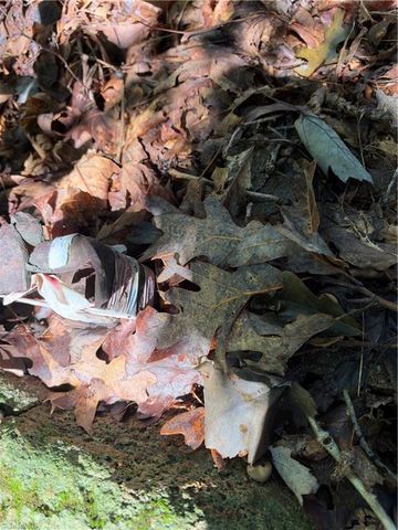 Lot 2 Edgewood Road, Wilkesboro, NC 28697
