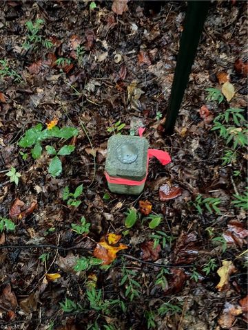 Lot 2 Edgewood Road, Wilkesboro, NC 28697