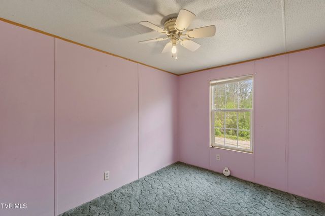 225 Carpenters Chapel Road, Mosheim, TN 37818