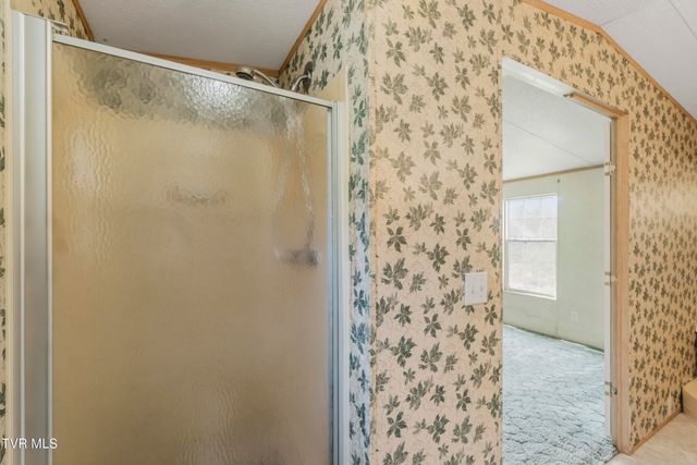 225 Carpenters Chapel Road, Mosheim, TN 37818
