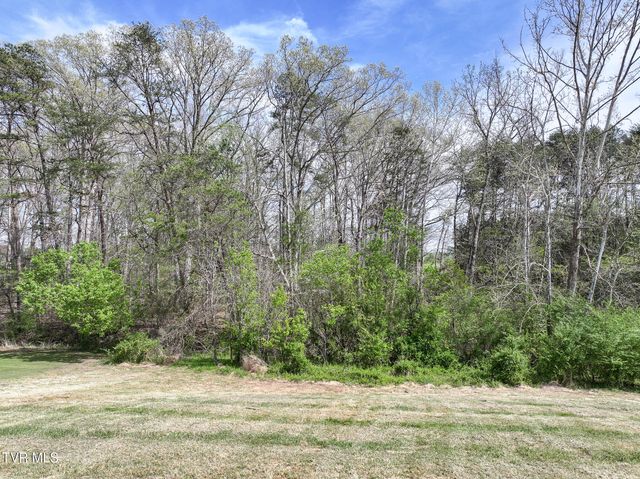 225 Carpenters Chapel Road, Mosheim, TN 37818