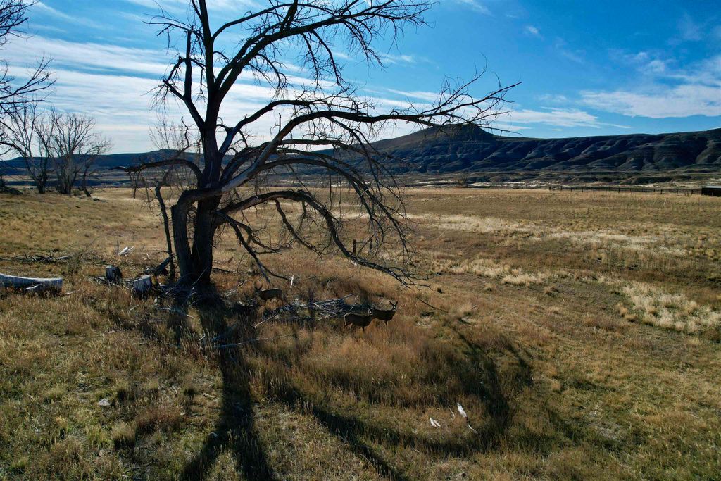 2477 Beaver Creek Rd, Shell, WY 82441 photo 68