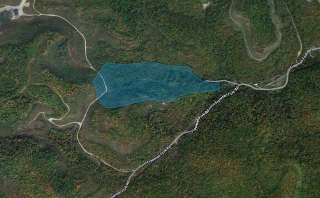 0 Freeman Fork Road, Gays Creek, KY 41745