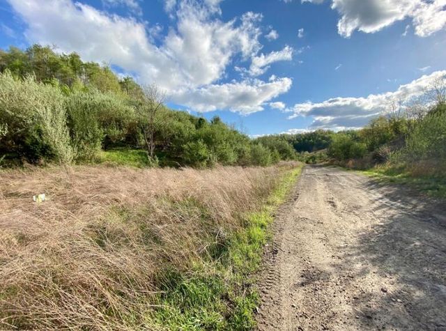 0 Freeman Fork Road, Gays Creek, KY 41745