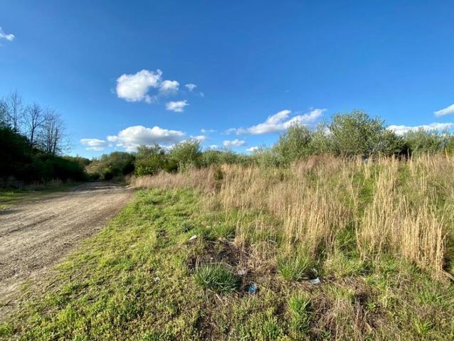 0 Freeman Fork Road, Gays Creek, KY 41745