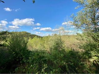 0 Freeman Fork Road, Gays Creek, KY 41745
