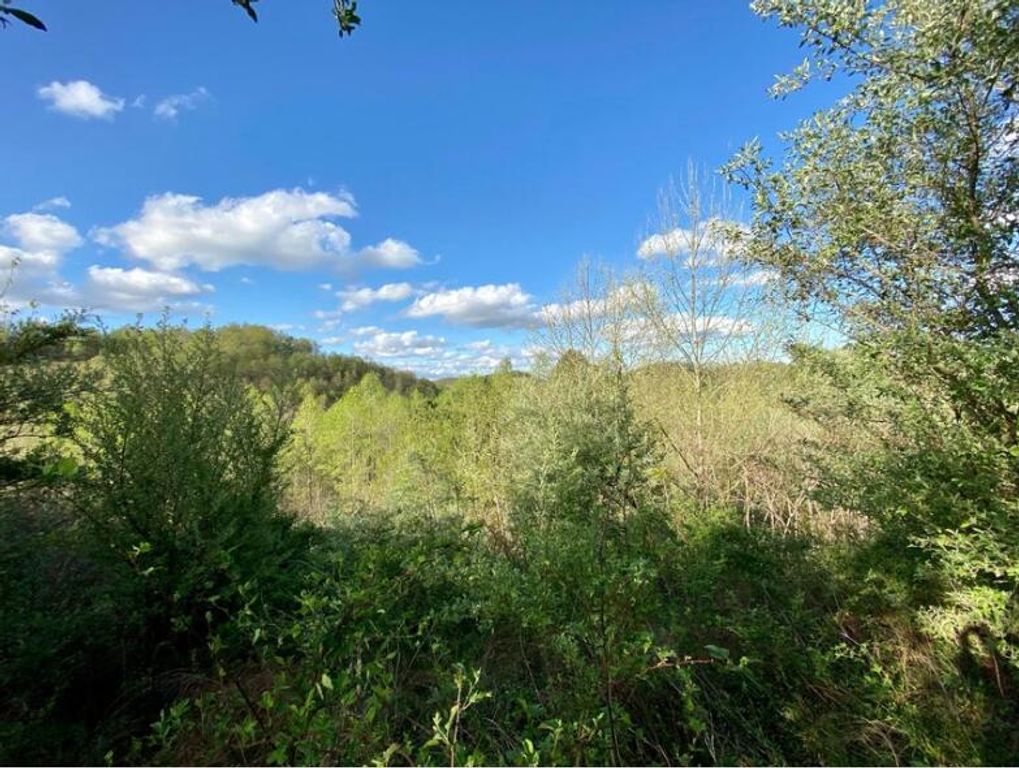 0 Freeman Fork Road, Gays Creek, KY 41745