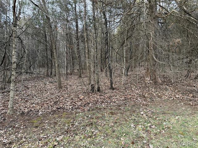 3559 Highway F, Annapolis, MO 63620