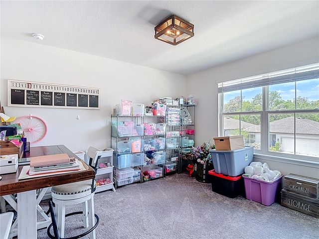 6136 BRADFORD WOODS DRIVE, Zephyrhills, FL 33542