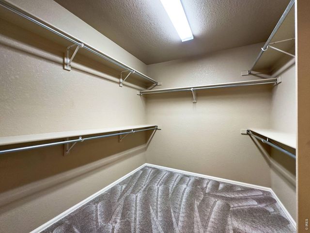 526 W 64th St, Loveland, CO 80538