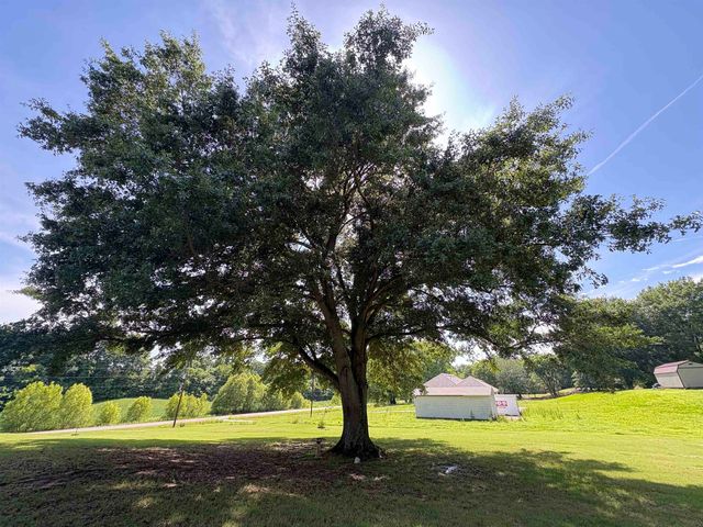 597 WEST DR, Munford, TN 38058