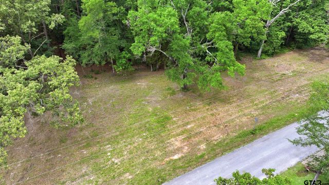 TBD CR 137, Flint, TX 75762