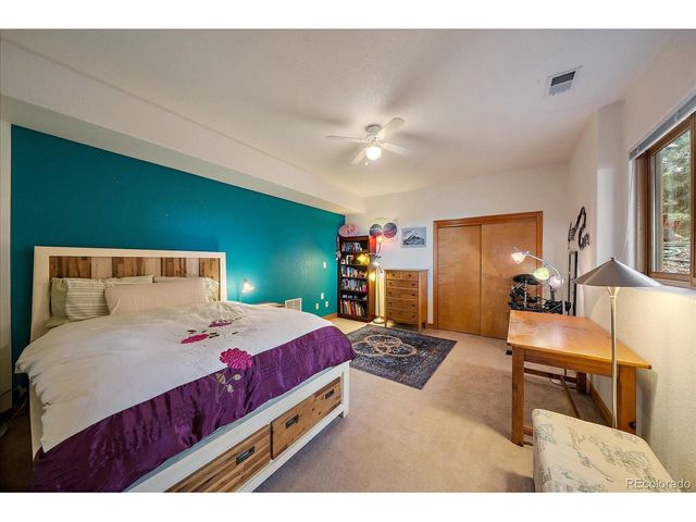 6698 Condor Run, Littleton, CO 80125