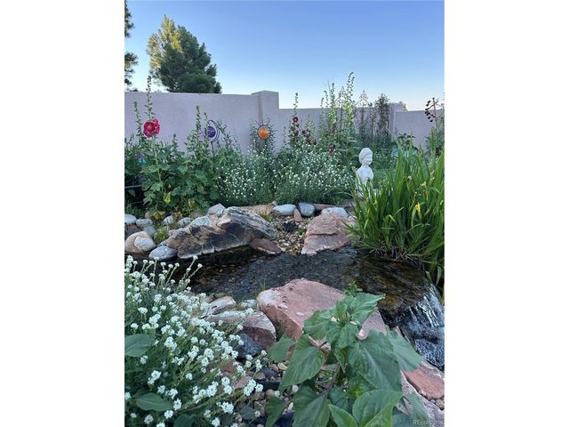 6698 Condor Run, Littleton, CO 80125