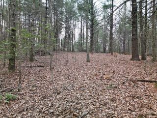 Lot #29 Liberty Road, Murphy, NC 28906