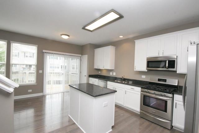 133 Willey Street, Gilberts, IL 60136