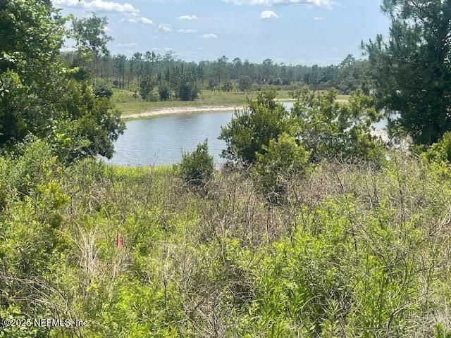 211 VILLAGE Drive, Welaka, FL 32193