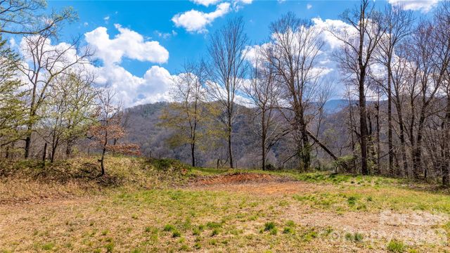 90 Last Coyote Trail, Canton, NC 28716