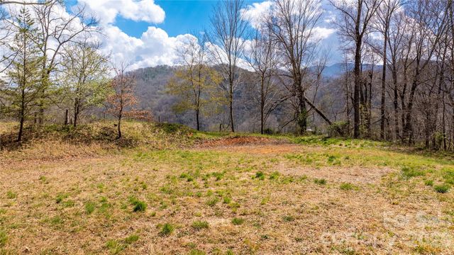90 Last Coyote Trail, Canton, NC 28716
