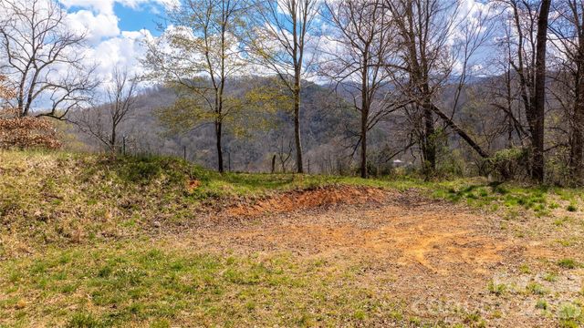 90 Last Coyote Trail, Canton, NC 28716