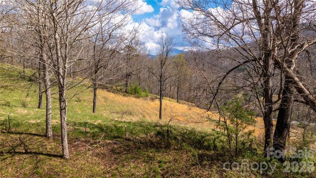90 Last Coyote Trail, Canton, NC 28716