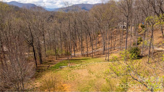 90 Last Coyote Trail, Canton, NC 28716