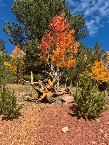 1052 Crown Point Circle, Cripple Creek, CO 80813