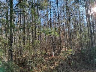 Lot 9 Oak Ridge Drive, Waverly Hall, GA 31831