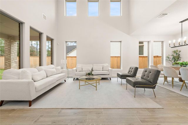 26401 East Skylight Brook Circle, Montgomery, TX 77316