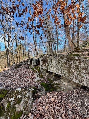 Lot 13 CR 1526, Eureka Springs, AR 72632