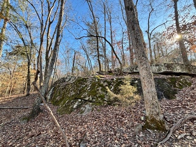 Lot 13 CR 1526, Eureka Springs, AR 72632