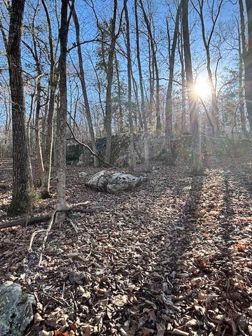 Lot 13 CR 1526, Eureka Springs, AR 72632