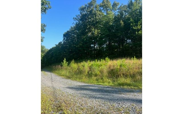 LT 50 White Pine Ridge, Ellijay, GA 30540