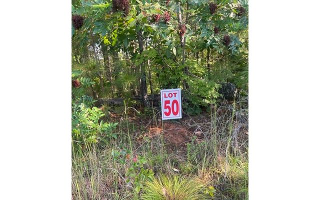 LT 50 White Pine Ridge, Ellijay, GA 30540