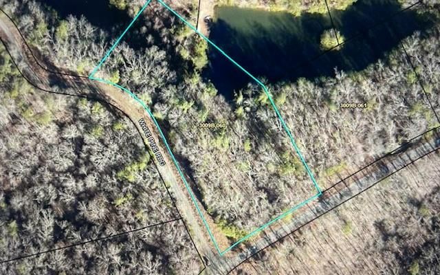 LT 50 White Pine Ridge, Ellijay, GA 30540