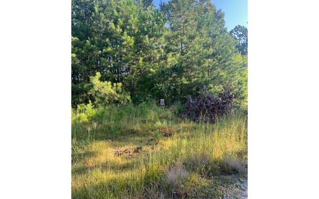 LT 50 White Pine Ridge, Ellijay, GA 30540