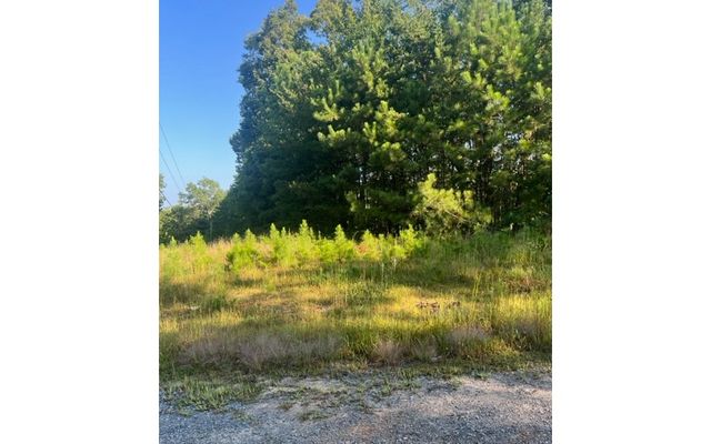 LT 50 White Pine Ridge, Ellijay, GA 30540