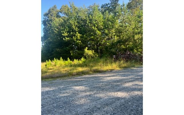 LT 50 White Pine Ridge, Ellijay, GA 30540