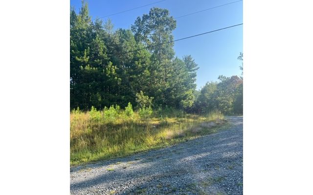 LT 50 White Pine Ridge, Ellijay, GA 30540