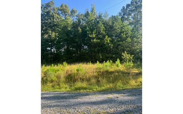 LT 50 White Pine Ridge, Ellijay, GA 30540