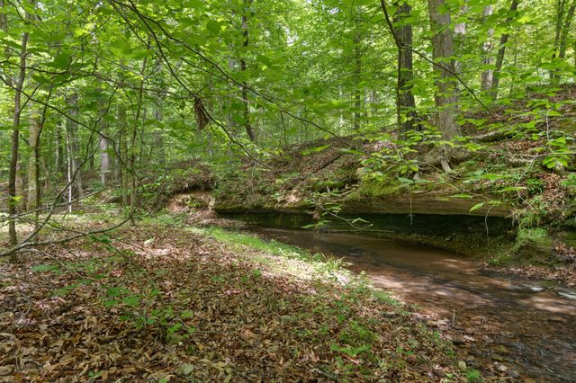 1635 Right Prong Blue Buck Road, Duck River, TN 38454