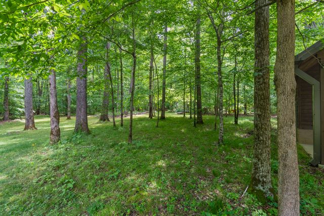 1635 Right Prong Blue Buck Road, Duck River, TN 38454