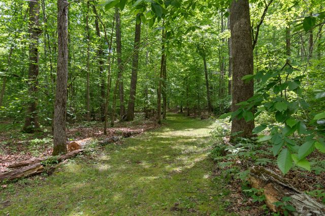 1635 Right Prong Blue Buck Road, Duck River, TN 38454