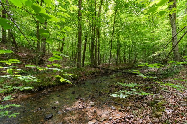 1635 Right Prong Blue Buck Road, Duck River, TN 38454