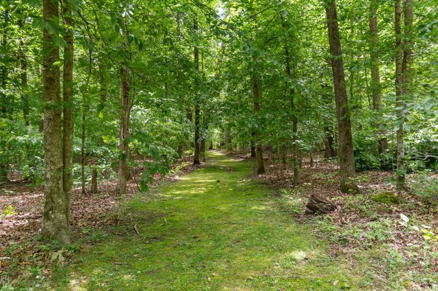 1635 Right Prong Blue Buck Road, Duck River, TN 38454